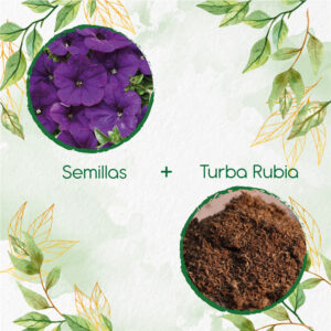 Kits De Siembra Para Petunia Azul Violeta