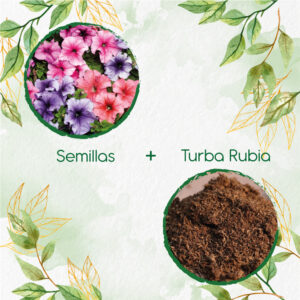 Kits De Siembra Para Petunia Mezcla