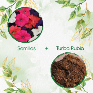 Kits De Siembra Para Petunia Péndula
