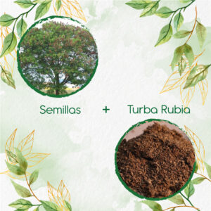 Kits De Siembra Para Acacia Forrajera