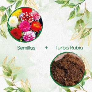 Kits De Siembra Para Dalia Decorativa