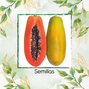 Semillas Orgánicas De Fruta Papaya Paulina