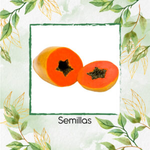 Semillas Orgánicas De Fruta Papaya Maradol