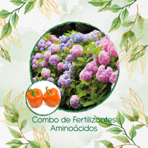 Kits De Fertilizantes Para Pimentón Naranja