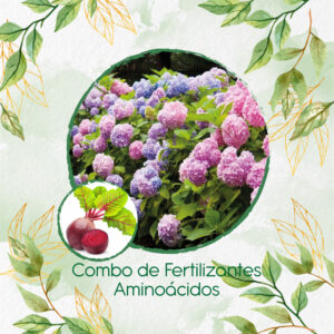Kits De Fertilizantes Para Remolacha