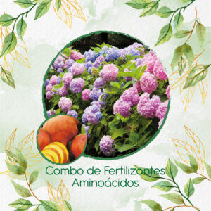 Kits De Fertilizantes Para Remolacha Amarilla
