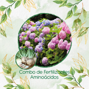 Kits De Fertilizantes Para Remolacha Blanca