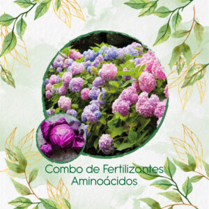 Kits De Fertilizantes Para Repollo Morado