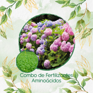 Kits De Fertilizantes Para Rúcula