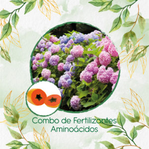 Kits De Fertilizantes Para Papaya Maradol