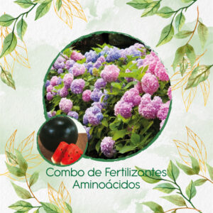 Kits De Fertilizantes Para Sandia Sugar Baby