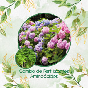 Kits De Fertilizantes Para Moringa