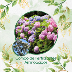 Kits De Fertilizantes Para Nogal Cafetero