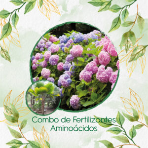 Kits De Fertilizantes Para Palma Abanico