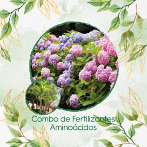 Kits De Fertilizantes Para Palma Areca