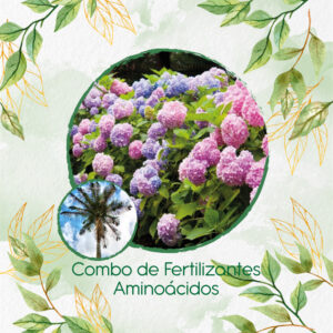 Kits De Fertilizantes Para Palma De Cera