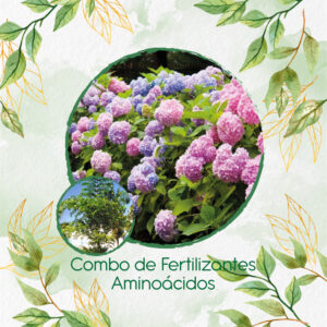 Kits De Fertilizantes Para Palma Mariposa