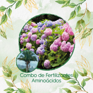 Kits De Fertilizantes Para Palma Real O De Vino