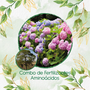 Kits De Fertilizantes Para Pino Maximinoi