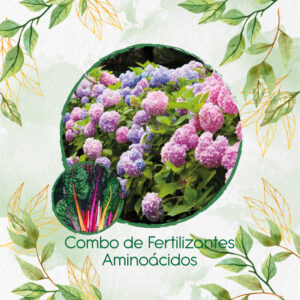 Kits De Fertilizantes Para Acelga Colores