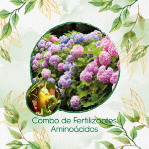Kits De Fertilizantes Para Berenjena Amarilla