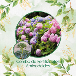 Kits De Fertilizantes Para Brócoli