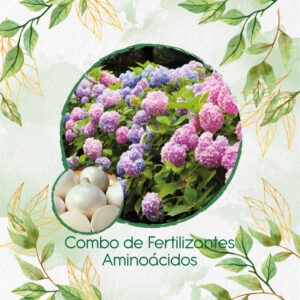 Kits De Fertilizantes Para Cebolla Blanca