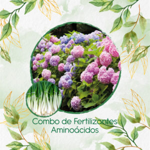 Kits De Fertilizantes Para Cebolla Larga