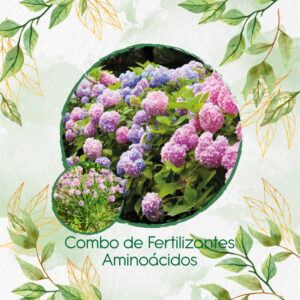 Kits De Fertilizantes Para Cebollino