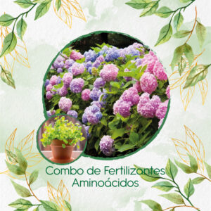 Kits De Fertilizantes Para Cilantro