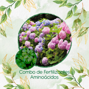 Kits De Fertilizantes Para Cilantro Patimorado