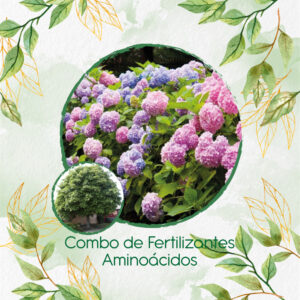Kits De Fertilizantes Para Jazmín Huesito
