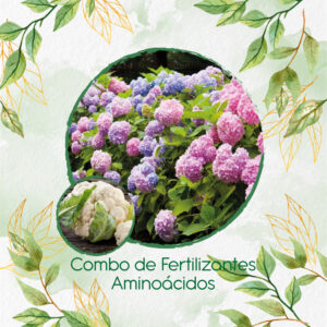 Kits De Fertilizantes Para Coliflor