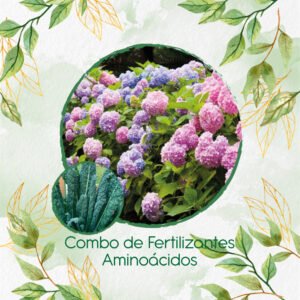 Kits De Fertilizantes Para Kale Toscano