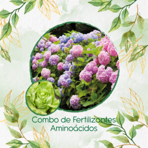 Kits De Fertilizantes Para Lechuga Boston
