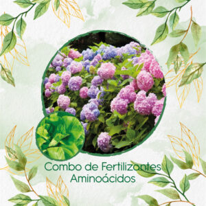 Kits De Fertilizantes Para Lechuga Lisa