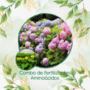 Kits De Fertilizantes Para Maní Forrajero