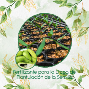 Fertilizantes Individuales Para Pepino Relleno
