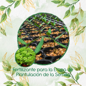 Fertilizantes Individuales Para Perejil Rizado