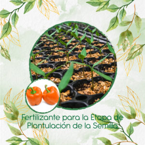 Fertilizantes Individuales Para Pimentón Naranja