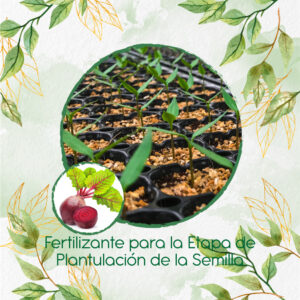Fertilizantes Individuales Para Remolacha