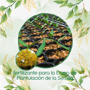 Fertilizantes Individuales Para Lluvia De Oro