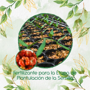 Fertilizantes Individuales Para Tomate Riñon