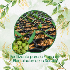 Fertilizantes Individuales Para Tomatillo Tomate Mexicano