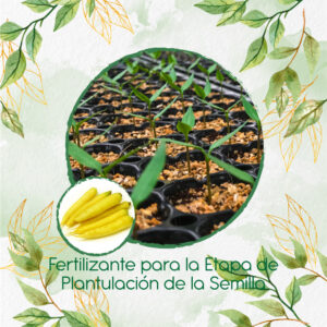 Fertilizantes Individuales Para Zanahoria Amarilla