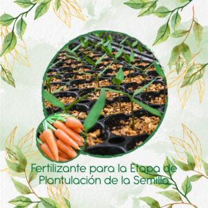 Fertilizantes Individuales Para Zanahoria Chantenay