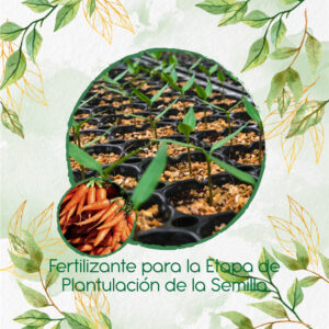 Fertilizantes Individuales Para Zanahoria Nantes Baby