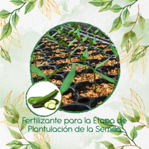 Fertilizantes Individuales Para Zanahoria Enano