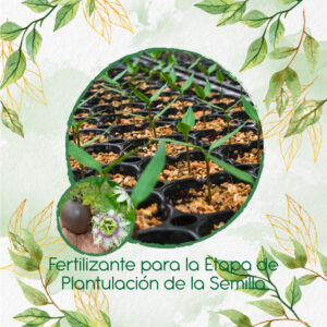 Fertilizantes Individuales Para Gulupa