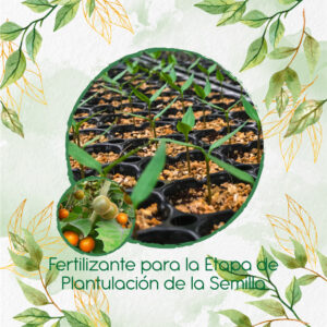 Fertilizantes Individuales Para Lulo
